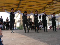 Milano 2008